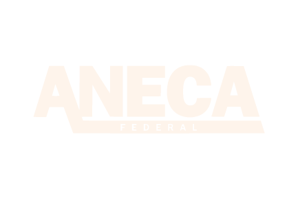 Aneca